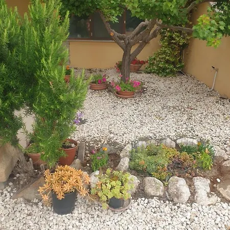 Holiday home Pina E Salvatore *